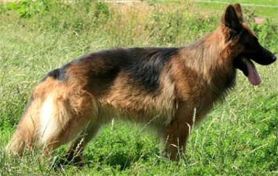 Urs vom Osterberger-Land