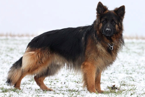 Nils von der Grafschaft Mark